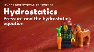 Hydrostatics  pressure and the hydrostatic equation [upl. by Onitsirc]