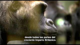 15 01 El genio de Charles DarwinRichard Dawkins La vida Darwin y todas las cosas  subtitulado [upl. by Aiasi153]