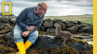 Billy amp Molly An Otter Love Story Full Documentary Special  National Geographic [upl. by Aidne]