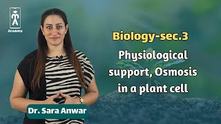 Biologysec3  Physiological support Osmosis in a plant cell [upl. by Carbo]