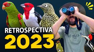 GRANDES MOMENTOS do Planeta Aves  RETROSPECTIVA 2023 [upl. by Sheelagh]