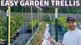 This Easy Cheap GARDEN TRELLIS Will Fit Almost Anywhere [upl. by Franklin]