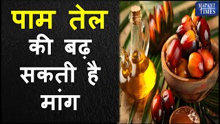 पाम तेल की बढ़ सकती है मांग Demand for palm oil may increase palmoil madni kissan [upl. by Maggie405]