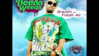 Beeda Weeda  Bassrock Babies Prod DJ Fresh [upl. by Ahsac]