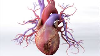 What is Coronary Artery Disease  Mechanism of Disease [upl. by Needan]