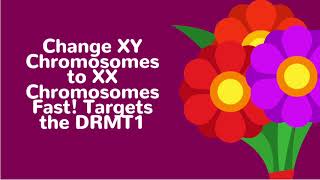 Change XY Chromosomes to XX Chromosomes Fast Targets the DRMT1 [upl. by Asor]