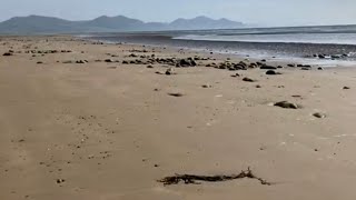 Walk around Caernarfon North Wales  Dinas Dinlle Stunning Coastal Walk for all [upl. by Itsrejk693]