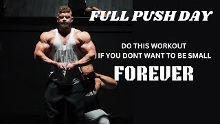 Crushing Full Push Day for Insane Muscle Gains [upl. by Hagile]