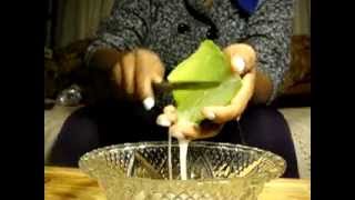 Aloe plant how to release the gel [upl. by Macknair]