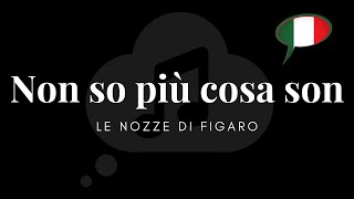 Non so più cosa son  IPA  Pronunciation [upl. by Banerjee]