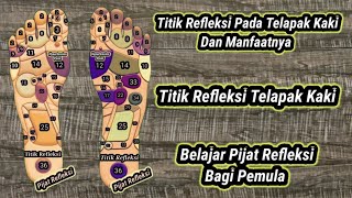 TITIK REFLEKSI PADA TELAPAK KAKI DAN MANFAATNYA  TITIK REFLEKSI TELAPAK KAKI [upl. by Lenox]