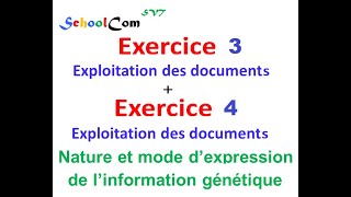 Exercice 3  Exercice 4 quot Nature et mode d’expression de l’information génétiquequot [upl. by Kuehnel]