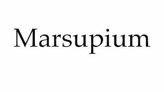 How to Pronounce Marsupium [upl. by Aitsirhc231]