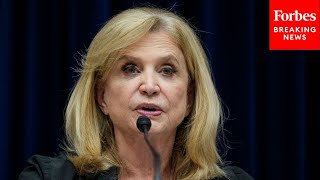 Carolyn Maloney Advocates For DC Residents Who Pay Taxes Without Equal Representation [upl. by Iak]