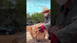 Wood Chopping  So Satisfying woodchopping relax [upl. by Notnil]