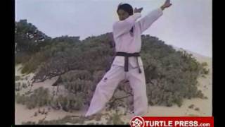 Taekwondo Knifehand Blocks [upl. by Atok]