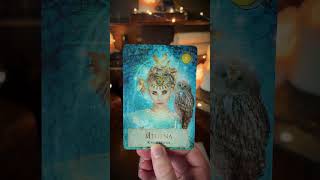 An Unexpected Blessings Is Coming🔮 tarot tarotreading [upl. by Notyrb]