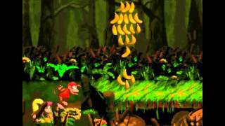 DKC 2 Hack  Barrel Bayou Cranky Never Died Here  3 1 [upl. by Raab]