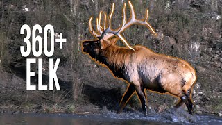 360 Inch Bull Hunting Colorado Elk Eastmans Hunting TV Elk Hunting [upl. by Hendry933]