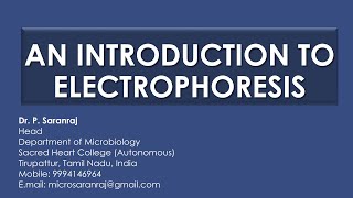 An Introduction to Electrophoresis [upl. by Nyledaj502]