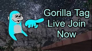 MrTophat Live Gorilla Tag 400 subs [upl. by Fair891]