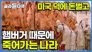 전세계 사랑 받는 햄버거 그 이면에 숨겨진 잔혹한 비밀│햄버거 덕분에 돈 벌지만 열대림 잃어가는 브라질 현실│햄버거 커넥션│다큐프라임│골라듄다큐 [upl. by Assirolc]