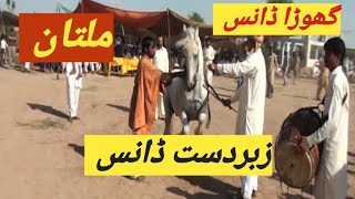 top dancing horseghora sholaSultan ayub qatal2024 Vedios the tapdancing horsehorsePunjab Rang [upl. by Dahsra]