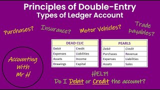 Principles of Double Entry [upl. by Notsirt37]