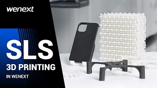 How SLS Works  Selective Laser Sintering SLS 3D Printing Technology [upl. by Haidedej922]