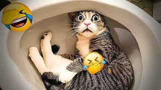 You Laugh You Lose😹Funniest Dogs and Cats 2024😻🐶 [upl. by Llerdnam]