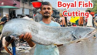 Biggest Monster Attu Wallago Boal Fish CuttingSkills  Fish Cutting SkillsGhazipur fish mandi rrrm [upl. by Dorisa]