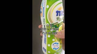 自製哈密瓜乳酸菌奶茶氣泡飲超級好喝 [upl. by Rehm]