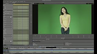 Chroma Key Pro Tutorial [upl. by Nimoynib]