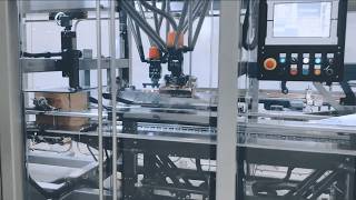 Vertical Packaging Machines Versatility All In One [upl. by Nomyad]