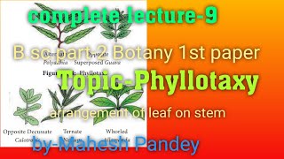 Bscpart2 Botany 1st paper topic phyllotaxy [upl. by Ahsier841]