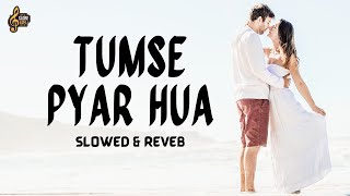 Tumse Pyar Hua slowed x reverb  Relaxing amp Refreshing  SloRe Lofi trending viral newsong [upl. by Evilo480]