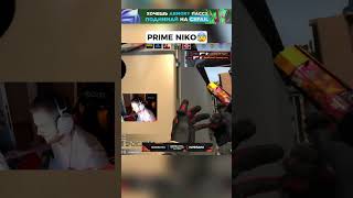 prime niko😰 cs2 counterstrike csgo [upl. by Sibilla685]