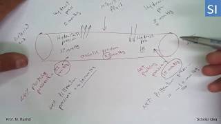 Hydrostatic vs Oncotic pressure Movement of fluids Explained [upl. by Lanita]