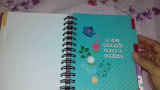 PLANNER 2019 FINA IDEIA [upl. by Atsirc]