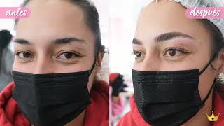 LAMINADO de cejas PASO A PASO ♥ BROW LAMINATION Beauty Studio  Cejas perfectas [upl. by Phail]