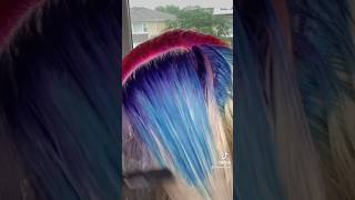 Split Dye Tutorial wigmakers wigsforblackwomen splitdye colorfulwigs wig [upl. by Ellingston541]