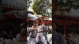 Amazing Shaolin Monk performing Taizu Chang Quan Form kungfuform kungfutaolu shaolinkungfu [upl. by Irrahs724]