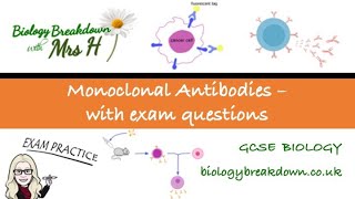 Monoclonal Antibodies with Exam Questions [upl. by Koller994]