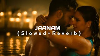 jaanam vicky kaushal slowed and reverb [upl. by Enimsaj657]