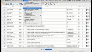 SPSS Recoding Variables [upl. by Adnerol]