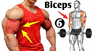 6 Best Exercises Bigger Biceps At Gym  Biceps Workout [upl. by Eremahs]