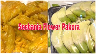 Sesbania Flower Pakora  Easy Recipe  বক ফুল পাকোড়া [upl. by Danyluk]