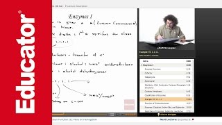 Enzymes  Biochemistry Tutorial [upl. by Apul396]