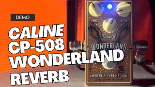 Caline CP508 Wonderland Reverb gitarrpedal demo [upl. by Mirelle]