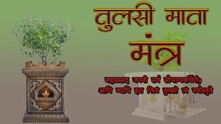 तुलसी मंत्र   tulsi mantra jaap [upl. by Junji]